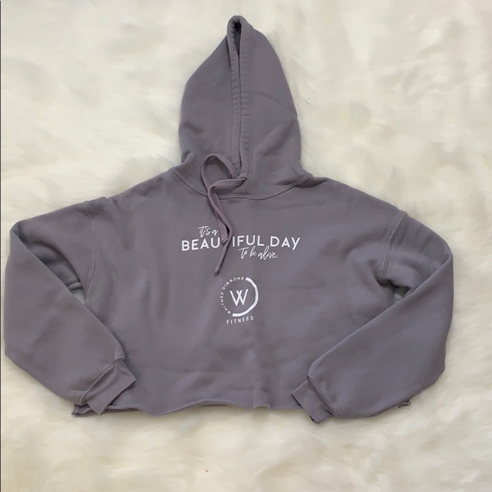 Whitney Simmons Cropped Hoodie